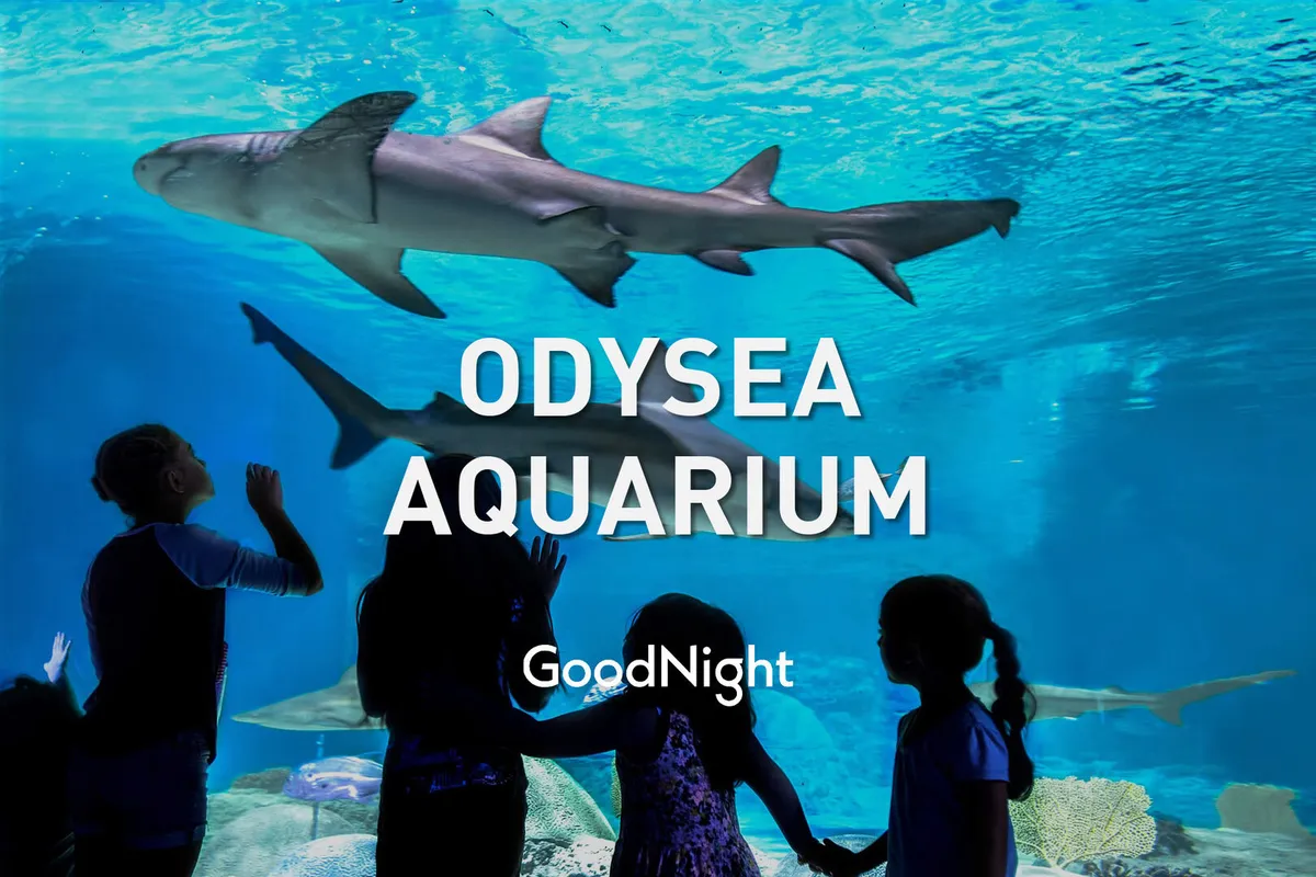 Children stand in awe at a large aquarium tank, watching sharks swim overhead in a luminous blue underwater tunnel. The vibrant scene radiates excitement and curiosity, with the aquarium environment providing an immersive, family-oriented experience.