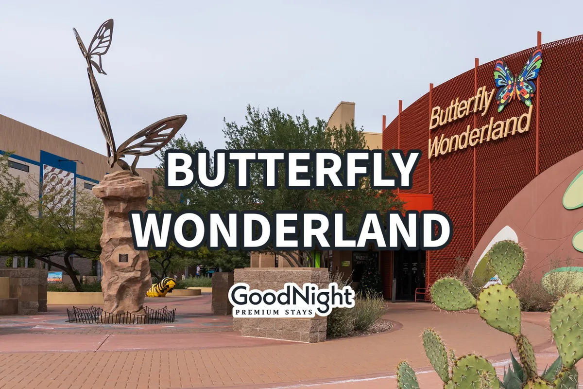 An exterior shot of the entrance to Butterfly Wonderland featuring the recognizable butterfly sculpture and vibrant signage, surrounded by desert landscaping and cacti. The playful setting invites families to explore and learn together.