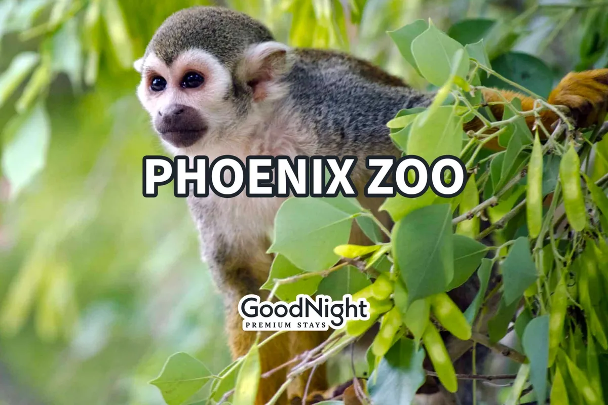 A playful squirrel monkey is perched amidst lush greenery, suggesting a thriving outdoor environment with opportunities for animal observation and nature exploration.